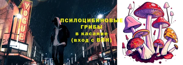 амф Липки